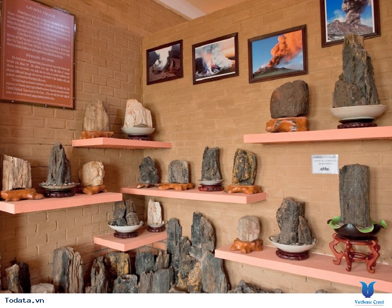 Bảo tàng cội nguồn phú quốc